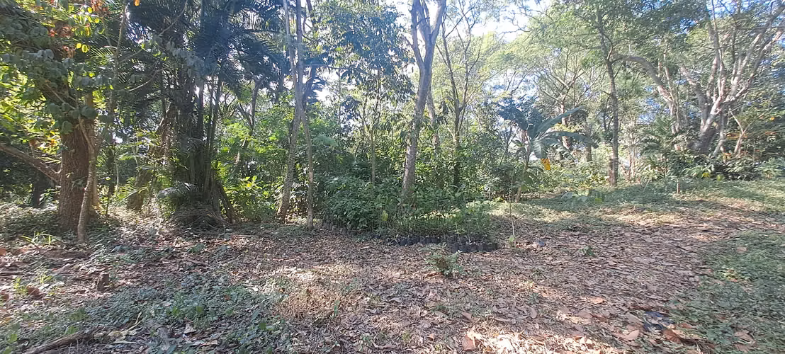 Terreno en Venta en Zapotitlán, Ciudad Arce