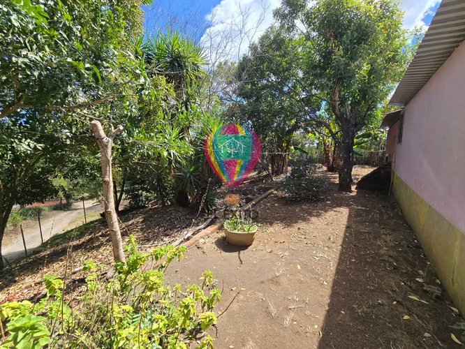 VENDO PRECIOSA MANZANA EN CIUDAD ARCE CON CASA INCLUIDA, LA LIBERTAD - Imagen 11