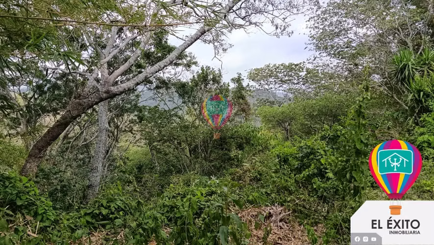 VENDO PRECIOSA FINCA DE 33 MANZANAS EN HUIZUCAR