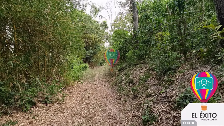 VENDO PRECIOSA FINCA DE 33 MANZANAS EN HUIZUCAR