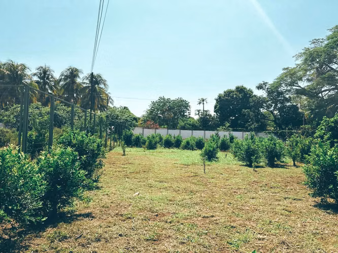 TERRENO EN VENTA EN CALUCO SONSONATE