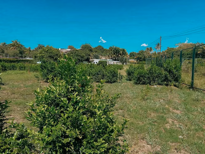 TERRENO EN VENTA EN CALUCO SONSONATE