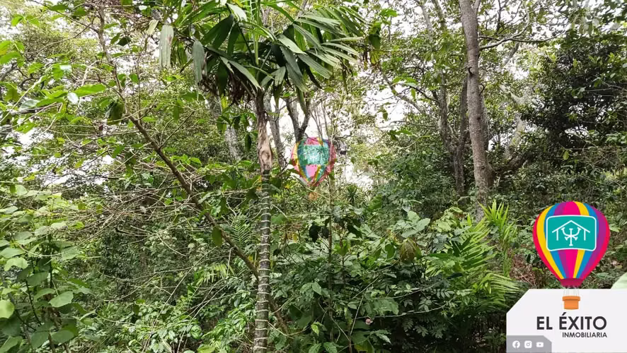 VENDO TERRENO EN EL BOQUERON, SANTA TECLA - Imagen 9