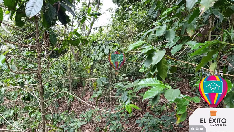 VENDO TERRENO EN EL BOQUERON, SANTA TECLA - Imagen 7