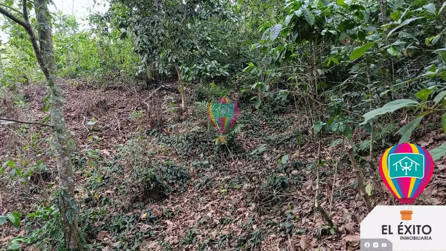 VENDO TERRENO EN EL BOQUERON, SANTA TECLA - Imagen 12