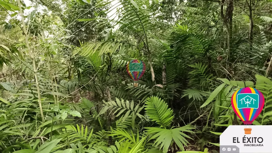VENDO TERRENO EN EL BOQUERON, SANTA TECLA - Imagen 14