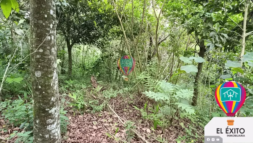 VENDO TERRENO EN EL BOQUERON, SANTA TECLA - Imagen 3