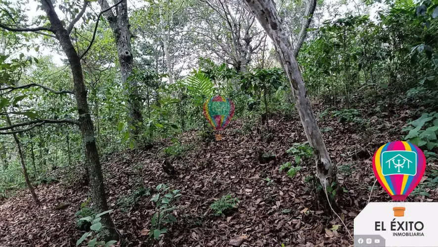 VENDO TERRENO EN EL BOQUERON, SANTA TECLA - Imagen 13