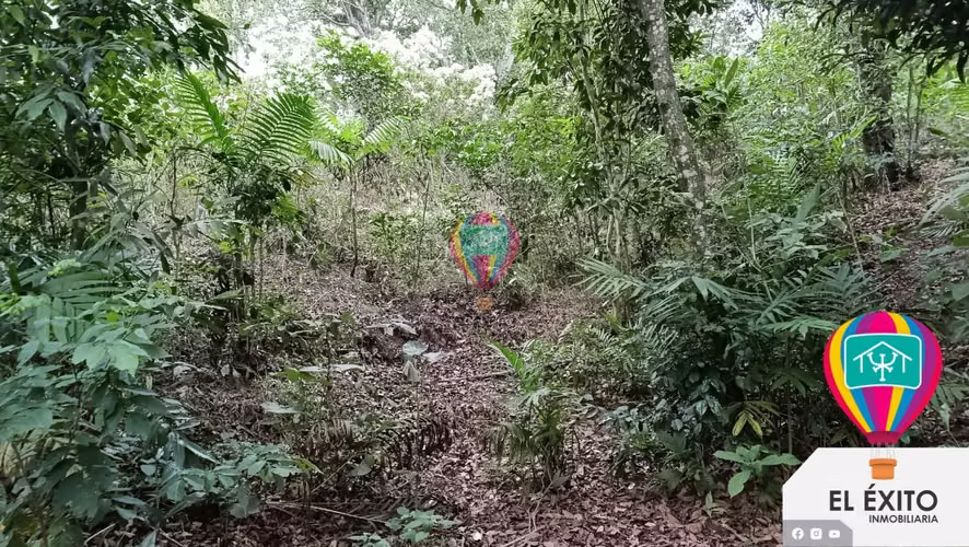 VENDO TERRENO EN EL BOQUERON, SANTA TECLA - Imagen 4