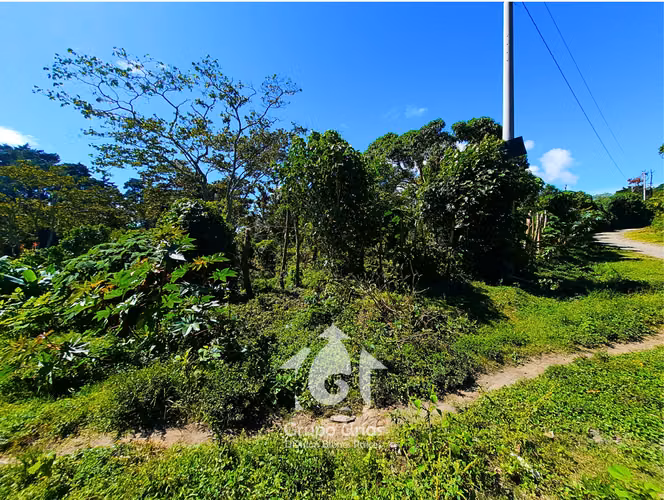 TERRENO EN VENTA EN VOLCÁN EL BOQUERÓN