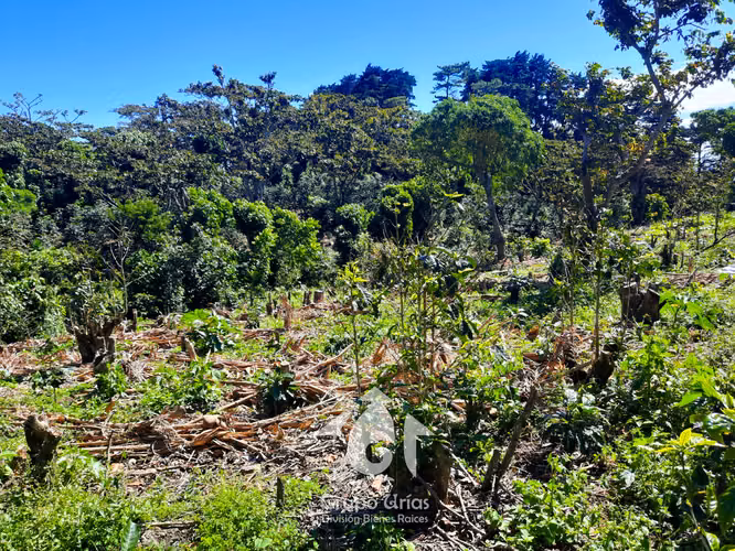 TERRENO EN VENTA EN VOLCÁN EL BOQUERÓN