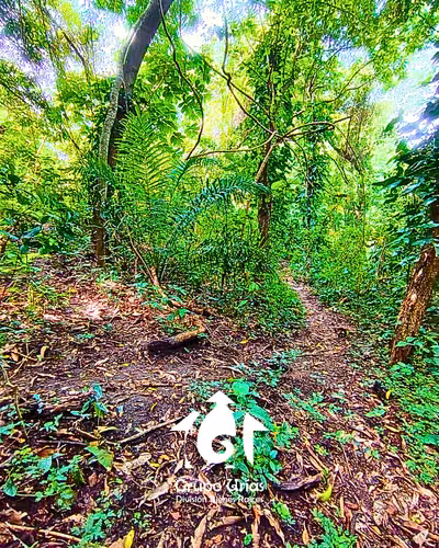 TERRENO EN VENTA EN CIUDAD DELGADO - SAN SALVADOR