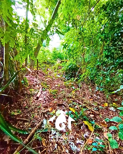 TERRENO EN VENTA EN CIUDAD DELGADO - SAN SALVADOR