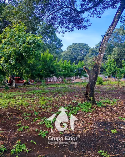 LOTES EN VENTAS - AHUCHAPÁN - Imagen 14