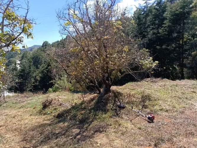Terreno en Chalatenango,a 4km de Miramundo,de 600m2 listos para escriturar - Imagen 4