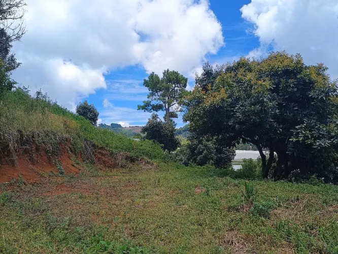 Terreno en Chalatenango,a 4km de Miramundo,de 600m2 listos para escriturar - Imagen 7