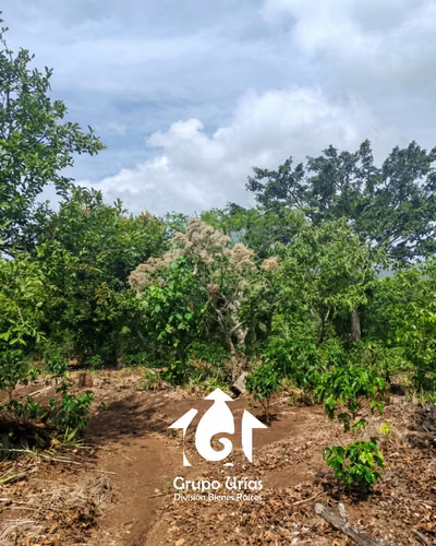 FINCA EN VENTA EN CANDELARIA DE LA FRONTERA