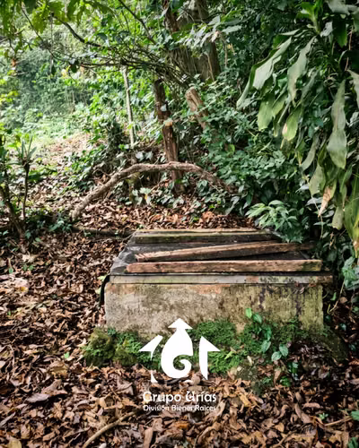 FINCA EN VENTA EN CANDELARIA DE LA FRONTERA