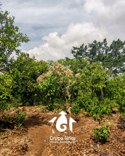 FINCA EN VENTA EN CANDELARIA DE LA FRONTERA