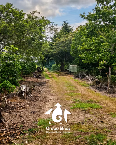 SALE FARM BETWEEN TACUBA AND AHUACHAPAN