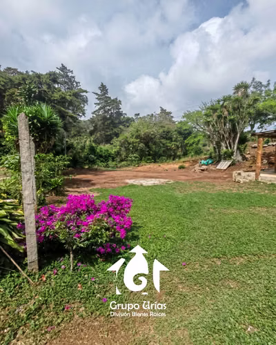 FINCA EN VENTA EN CANDELARIA DE LA FRONTERA