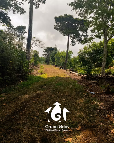 FINCA EN VENTA EN CANDELARIA DE LA FRONTERA