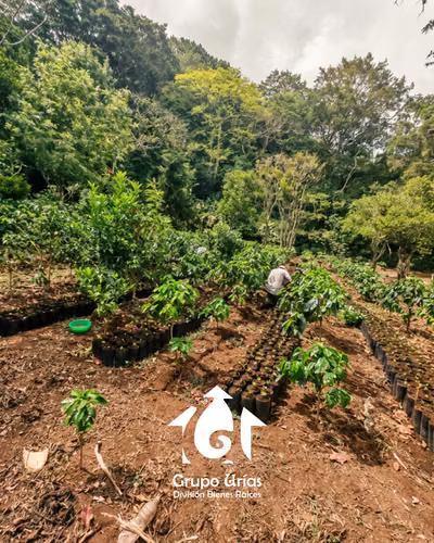 FINCA EN VENTA EN CANDELARIA DE LA FRONTERA