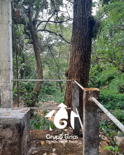 CASCO DE FINCA EN VENTA - AHUCHAPÁN