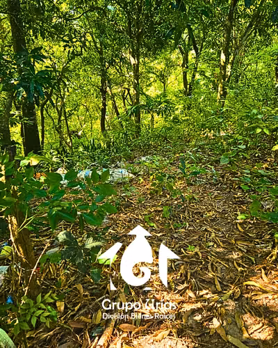 TERRENO EN VENTA - SAN SALVADOR