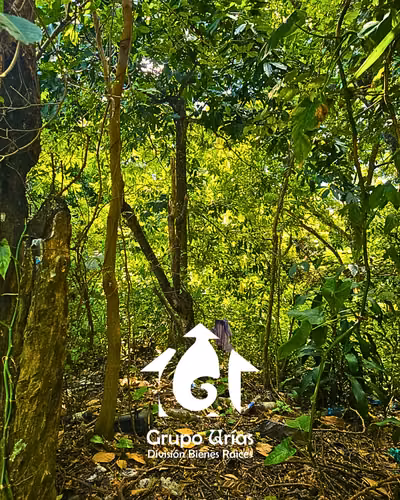 TERRENO EN VENTA - SAN SALVADOR