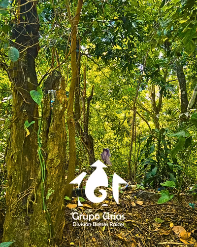TERRENO EN VENTA - SAN SALVADOR