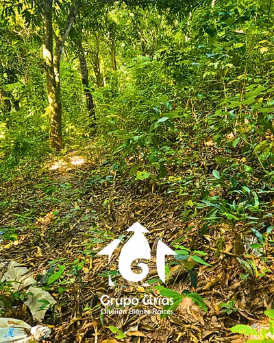 TERRENO EN VENTA - SAN SALVADOR