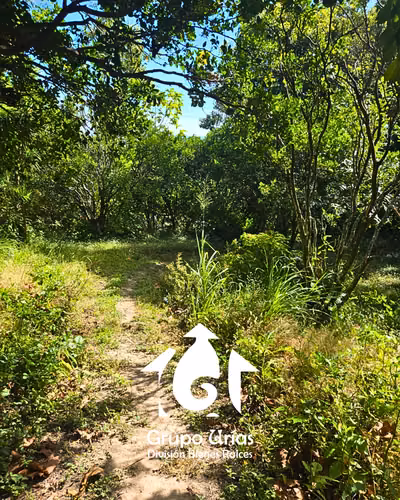 TERRENO EN VENTA - SAN SALVADOR