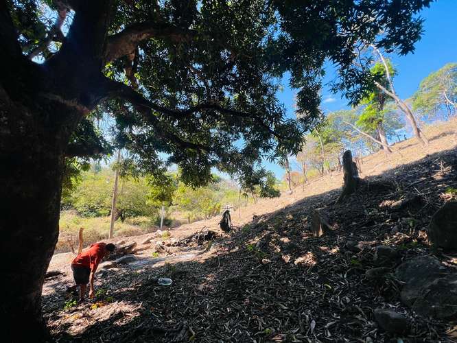 Terreno en Venta Cumbres de Zaragoza