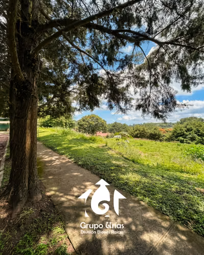LOTE EN VENTA-ALTURAS DE TENERIFE - Imagen 17