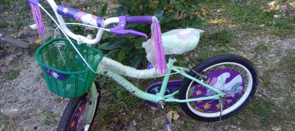 Vendo Bicicleta tipo BMX RIN 20