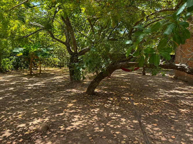 Terreno de 600 Varas² con Casa Incluida en San Luis Talpa