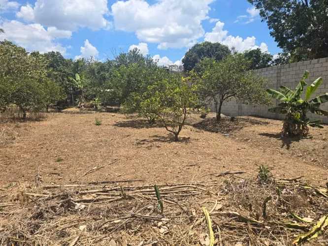 VENDO TERRENO EN SANTA ANA ALREDEDOR DE LAS RAMBLAS