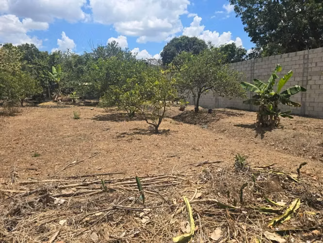 VENDO TERRENO EN SANTA ANA ALREDEDOR DE LAS RAMBLAS - Imagen 3