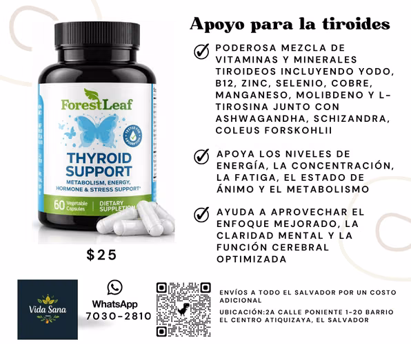 Apoyo para la tiroides con yodo - energético, enfoque y potencia - a base de hierbas naturales con B12, zinc, selenio, ashwagandha