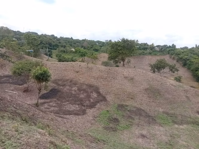 INVERSIONISTAS  OPORTUNIDAD DE DESARROLLO POR ALTAVISTA 55,000 v² CERCANO A LA DE ORO