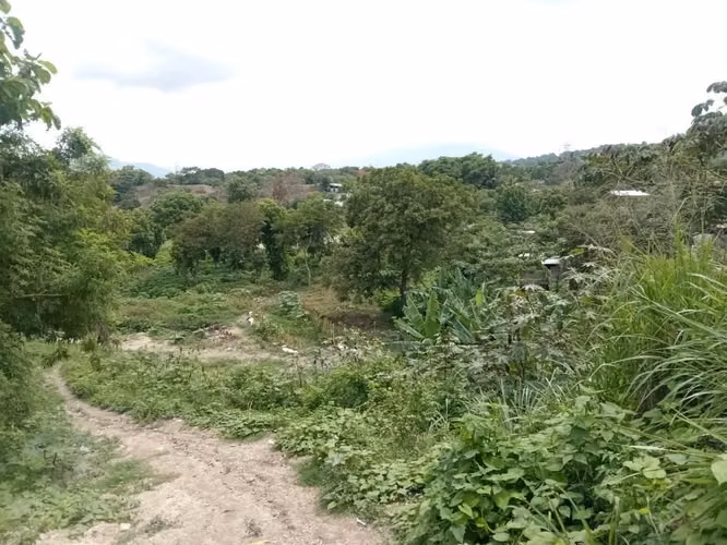 INVERSIONISTAS  OPORTUNIDAD DE DESARROLLO POR ALTAVISTA 55,000 v² CERCANO A LA DE ORO
