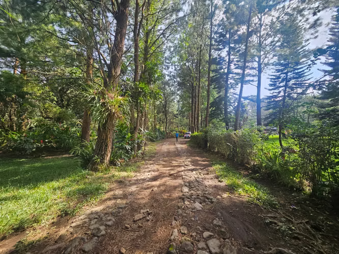Venta de bonito terreno en San José La Majada Ruta Los Naranjos