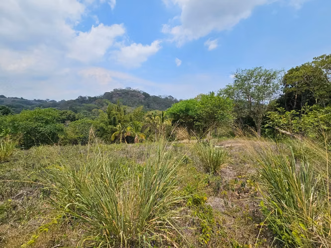 4.09 Manzanas en Santa Tecla | Ideal para inversión o quinta familiar.