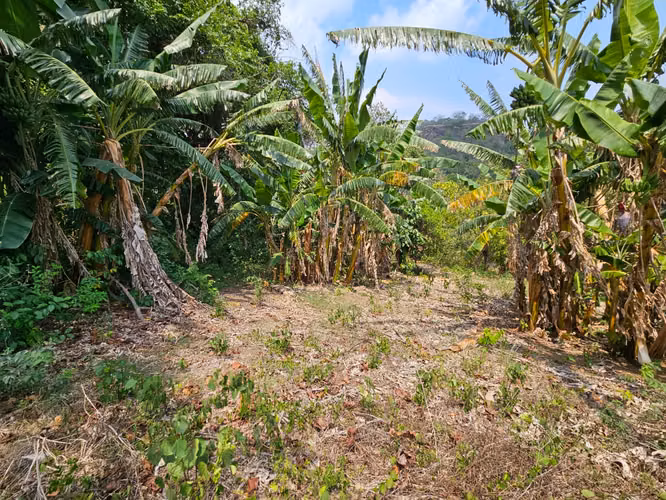 4.09 Manzanas en Santa Tecla | Ideal para inversión o quinta familiar.
