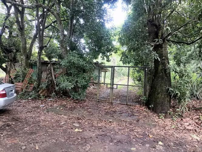 VENTA 2.6 MANZANAS TERRENO LOS HUATALES AHUACHAPÁN - Imagen 6