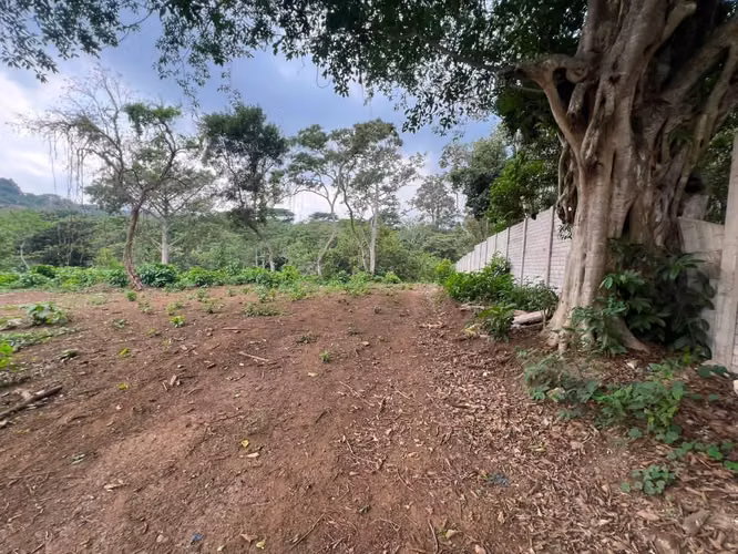 Terreno en venta en Santa María, Juayúa, Ruta de las Flores - Imagen 5