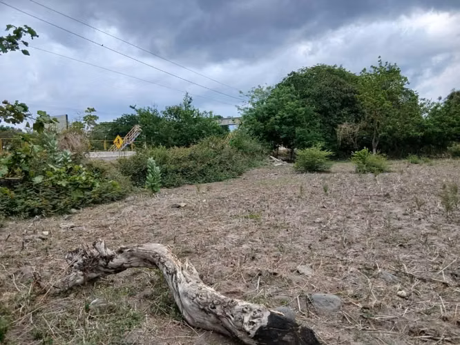 Se vende terreno a orilla de calle en autopista a zacatecoluca - Imagen 3