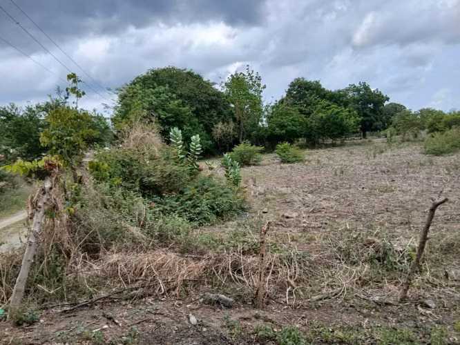 Se vende terreno a orilla de calle en autopista a zacatecoluca - Imagen 5