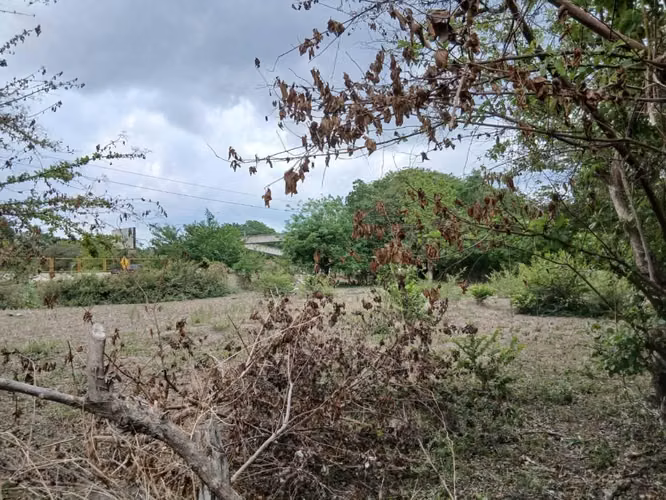 Se vende terreno a orilla de calle en autopista a zacatecoluca - Imagen 4